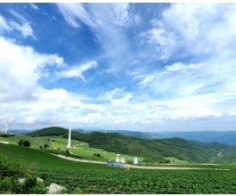 [KTX이음] 열대야가 없는 산소도시 태백 미식 탐방 하루 기차여행
