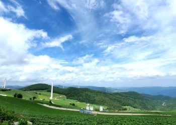 [KTX이음] 열대야가 없는 산소도시 태백 미식 탐방 하루 기차여행