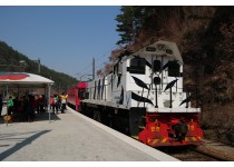 정동진 바다+협곡열차(V-train)+철암-승부-양원-분천-소수서원[당일여행] 2식(중/석식)제공