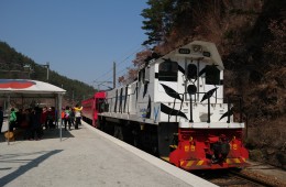 정동진 바다+협곡열차(V-train)+철암-승부-양원-분천-소수서원[당일여행] 2식(중/석식)제공