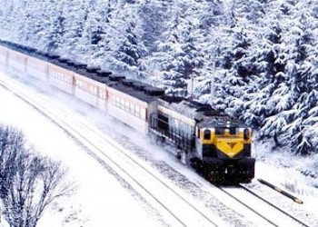 [특별열차] 동해산타열차 & 태백산눈꽃 & 정동진 & 환선굴 & 묵호항 여행(1박2일)