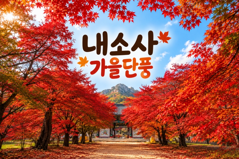[수도권/충청권/경상권출발]★가을단풍★내소사 단풍&채석강(당일)