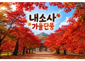 ★가을단풍★내소사 단풍&채석강(당일)