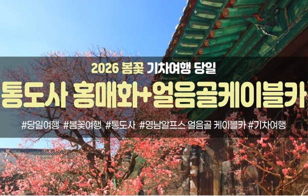 ★봄꽃★통도사 홍매화&영남 알프스 얼음골 케이블카(당일)