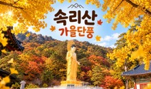 [수도권/충청권/경상권출발] ★가을단풍★속리산 법주사&세조길(당일)