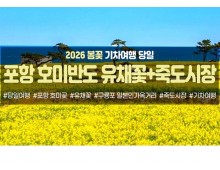 [수도권/충청권/경산권출발] 포항 호미반도 유채꽃&죽도시장(당일)