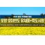 [수도권/충청권/경산권출발] 포항 호미반도 유채꽃&죽도시장(당일)