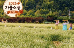 [KTX-당일]평창시티투어♬ 월정사+발왕산 케이블카+올림픽플라자