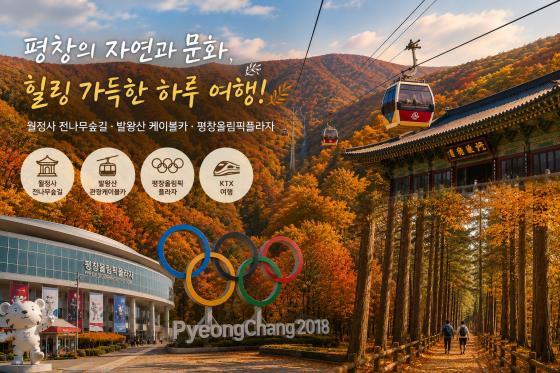 KTX서울역/청량리역출발] 한명도 OK! 10월~11월 평창 가을 단풍 힐링 여행
