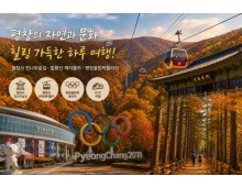 KTX서울역/청량리역출발] 한명도 OK! 10월~11월 평창 가을 단풍 힐링 여행