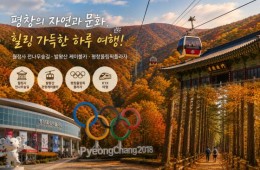 KTX서울역/청량리역출발] 한명도 OK! 10월~11월 평창 가을 단풍 힐링 여행