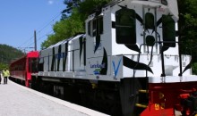 [KTX이음] 충절의 고장 영월 & 협곡열차 하루 기차여행 (서울출발)