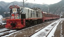 [특별열차] 백두대간협곡열차 & 환상선(승부) & 분천 산타마을 & 태백산 눈꽃 여행(당일)