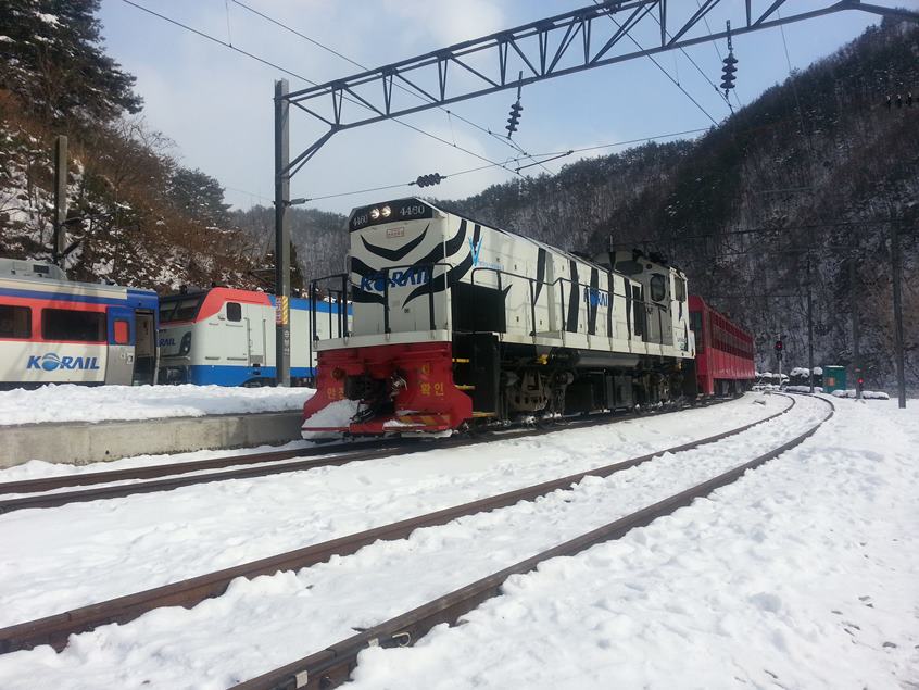 2026 태백 눈축제&협곡열차(V-train)+철암~영주[당일] 1/31~2/8(9일간)