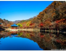 ◆가을맞이◆[수서출발-당일]조선8경 오색단풍명소 일번지, 내장산