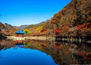 ◆가을맞이◆[수서출발-당일]조선8경 오색단풍명소 일번지, 내장산