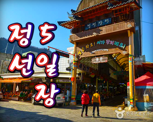 [KTX-당일]정선5일장 같이 가자! 아리랑시장+화암동굴+월정사