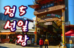 [KTX-당일]정선5일장 같이 가자! 아리랑시장+화암동굴+월정사