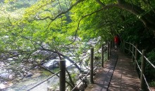 [KTX 당일] 지리산 뱀사골&지리산 흑돼지구이+남원 광한루&추어탕 (당일)