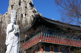 [KTX] 보물섬 남해 명소 & 보리암 봄 하루 기차여행 (당일)