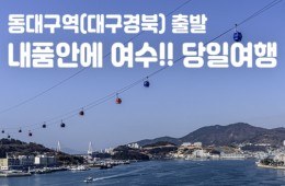 [동대구역/밀양역출발] 여수 알짜베기 당일투어!! (요트세일링~수산시장~해상케이블카~오동도)