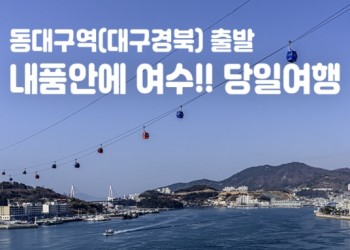 [동대구역/밀양역출발] 여수 알짜베기 당일투어!! (요트세일링~수산시장~해상케이블카~오동도)