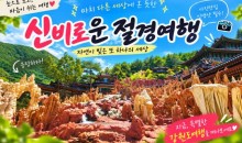 [1박2일/관광열차] 동굴에서 바다까지, 삼척&동해&강릉 빠르게 담기