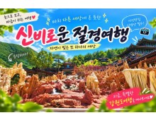[1박2일/관광열차] 동굴에서 바다까지, 삼척&동해&강릉 빠르게 담기