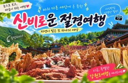 [1박2일/관광열차] 동굴에서 바다까지, 삼척&동해&강릉 빠르게 담기