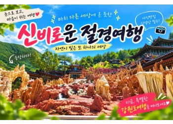 [1박2일/관광열차] 동굴에서 바다까지, 삼척&동해&강릉 빠르게 담기