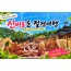 [1박2일/관광열차] 동굴에서 바다까지, 삼척&동해&강릉 빠르게 담기