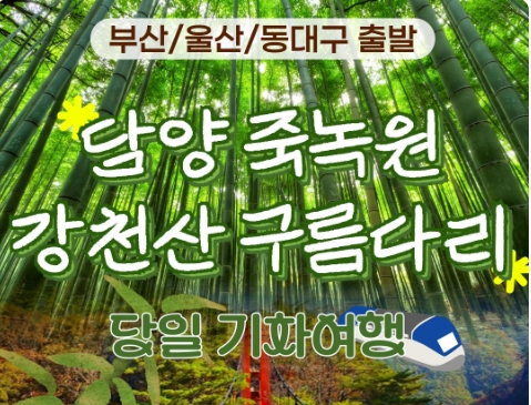 [KTX/부산,울산출발] 초록여행! 담양(죽녹원 & 메타세콰이어) ★ 강천산 구름다리 (당일)-중식포함