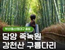[KTX동대구역/울산역/부산역] 담양 죽녹원&메타세콰이어&강천산 구름다리 당일 기차여행-중식제공