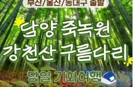 [KTX/부산,울산출발] 초록여행! 담양(죽녹원 & 메타세콰이어) ★ 강천산 구름다리 (당일)-중식포함