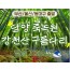 [KTX/부산,울산출발] 초록여행! 담양(죽녹원 & 메타세콰이어) ★ 강천산 구름다리 (당일)-중식포함