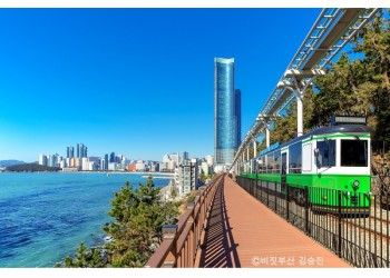 [KTX-1박]♠호텔♠동해의 빛! 시간여행 경주+울산 태화강국가정원+부산 해운대해변열차