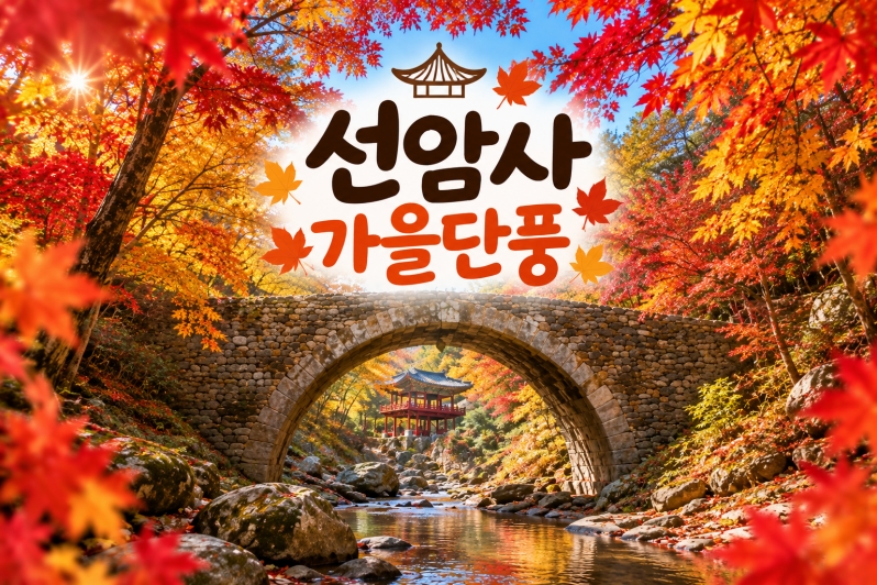[수도권/충청권/경상권출발] ★가을단풍★선암사&낙안읍성(당일)