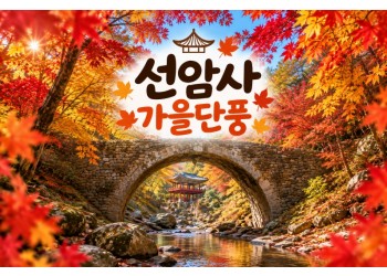 ★가을단풍★선암사&낙안읍성(당일)