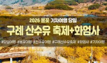 봄꽃-구례 산수유 축제&화엄사(당일)