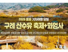 봄꽃-구례 산수유 축제&화엄사(당일)