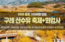 봄꽃-구례 산수유 축제&화엄사(당일)