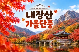 ★가을단풍★내장산&백양사 애기단풍(당일)