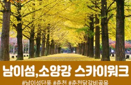 남이섬&춘천 소양강 스카이워크(당일)