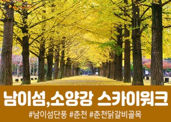 남이섬&춘천 소양강 스카이워크(당일)