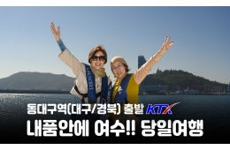 [동대구역출발] 내품안에 여수!!~당일여행 여수 알짜베기 당일투어!! (요트세일링>자유중식 및 수산시장>해상케이블카>오동도)