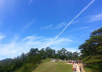 영월 청령포*장릉*동강트레킹 별미여행 당일